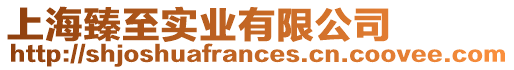 上海臻至實業有限公司