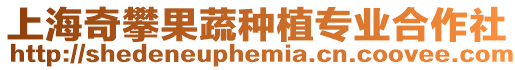 上海奇攀果蔬種植專業合作社