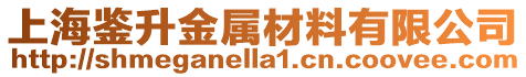 上海鑒升金屬材料有限公司