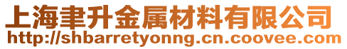 上海聿升金屬材料有限公司