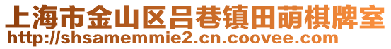 上海市金山區呂巷鎮田萌棋牌室