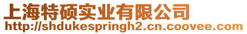 上海特碩實業有限公司