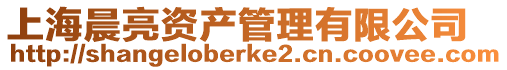 上海晨亮資產管理有限公司