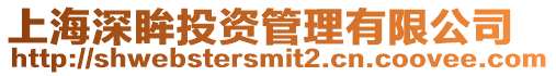 上海深眸投資管理有限公司