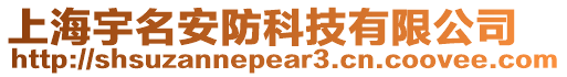 上海宇名安防科技有限公司