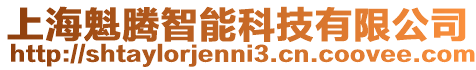 上海魁騰智能科技有限公司