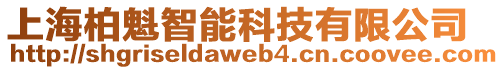 上海柏魁智能科技有限公司