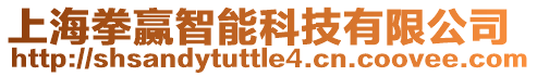 上海拳贏智能科技有限公司