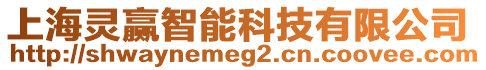 上海靈贏智能科技有限公司