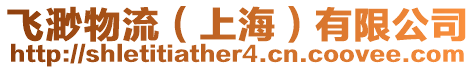 飛渺物流（上海）有限公司