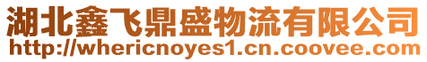 湖北鑫飛鼎盛物流有限公司