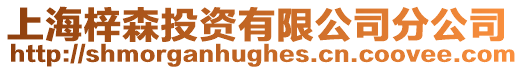 上海梓森投資有限公司分公司