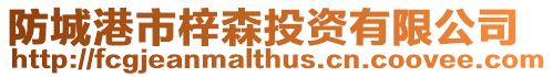 防城港市梓森投資有限公司