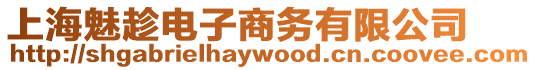 上海魅趁電子商務有限公司