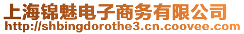 上海錦魅電子商務有限公司