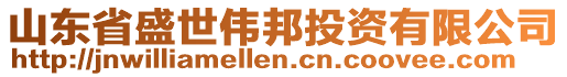 山東省盛世偉邦投資有限公司