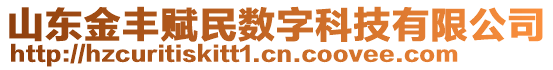 山東金豐賦民數字科技有限公司