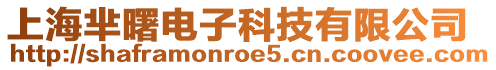 上海羋曙電子科技有限公司
