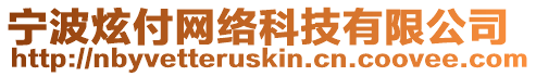 寧波炫付網絡科技有限公司