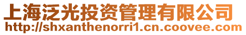 上海泛光投資管理有限公司