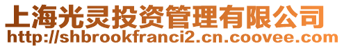 上海光靈投資管理有限公司