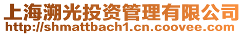 上海溯光投資管理有限公司