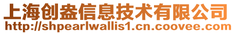 上海創盎信息技術有限公司