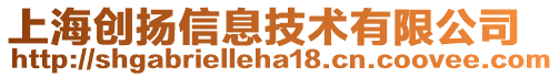 上海創揚信息技術有限公司