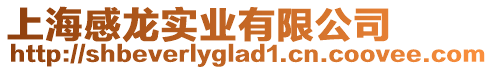 上海感龍實業有限公司