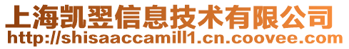 上海凱翌信息技術(shù)有限公司