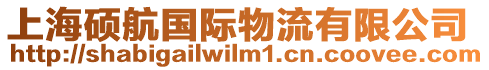 上海碩航國際物流有限公司
