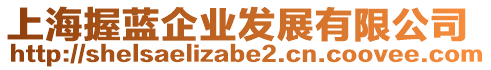 上海握藍企業發展有限公司