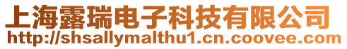 上海露瑞電子科技有限公司