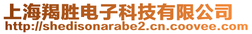 上海羯勝電子科技有限公司