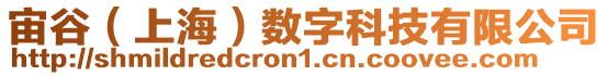 宙谷（上海）數字科技有限公司