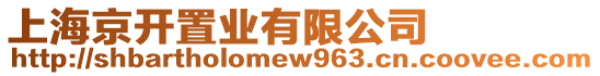 上海京開置業有限公司