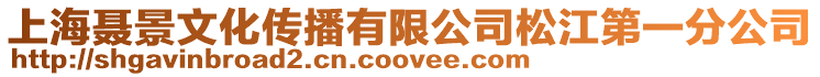 上海聶景文化傳播有限公司松江第一分公司