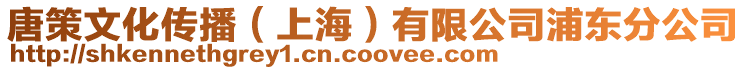 唐策文化傳播(上海)有限公司浦東分公司