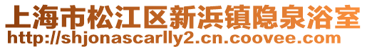 上海市松江區新浜鎮隱泉浴室