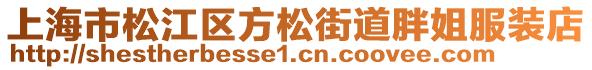 上海市松江區方松街道胖姐服裝店