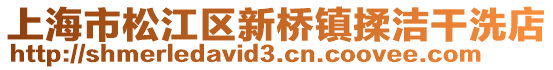 上海市松江區新橋鎮揉潔干洗店