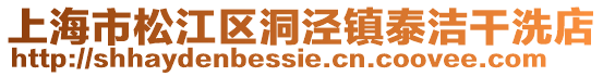 上海市松江區洞涇鎮泰潔干洗店