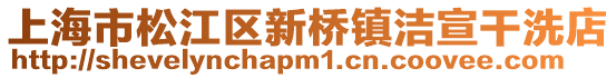 上海市松江區新橋鎮潔宣干洗店