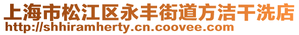 上海市松江區(qū)永豐街道方潔干洗店