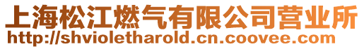 上海松江燃氣有限公司營業所