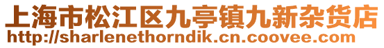 上海市松江區九亭鎮九新雜貨店