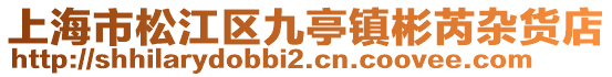 上海市松江區(qū)九亭鎮(zhèn)彬芮雜貨店
