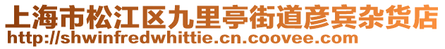 上海市松江區九里亭街道彥賓雜貨店