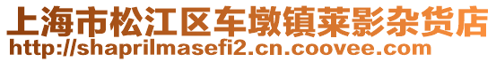 上海市松江區車墩鎮萊影雜貨店