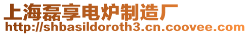 上海磊享電爐制造廠